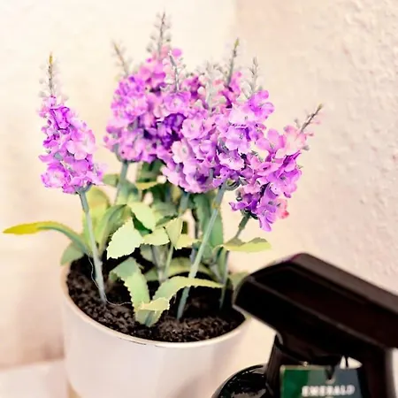 Belle 80 - Beautiful Renovated 1865 House 펜션