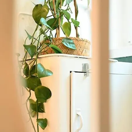 Belle 80 - Beautiful Renovated 1865 House *