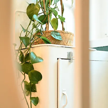 Belle 80 - Beautiful Renovated 1865 House 펜션