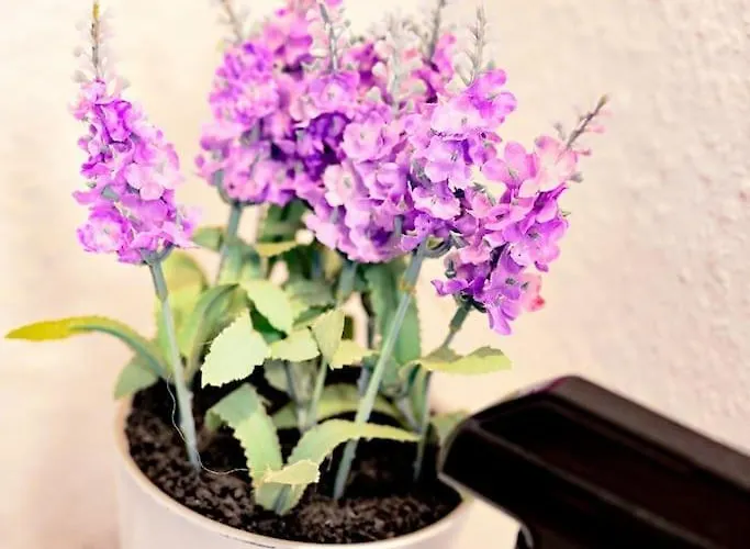 Belle 80 - Beautiful Renovated 1865 House Дом отдыха