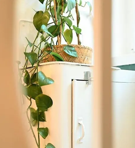 Belle 80 - Beautiful Renovated 1865 House *