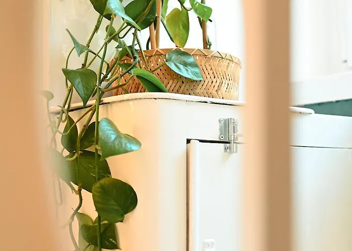 Belle 80 - Beautiful Renovated 1865 House Дом отдыха